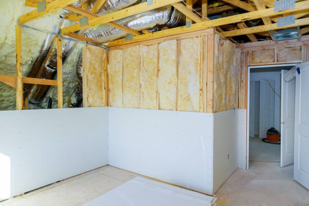 Best Best Insulation Companies  in Fisher, IL